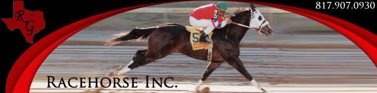 RaceHorse Inc