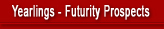 Yearlings - Future Prospects